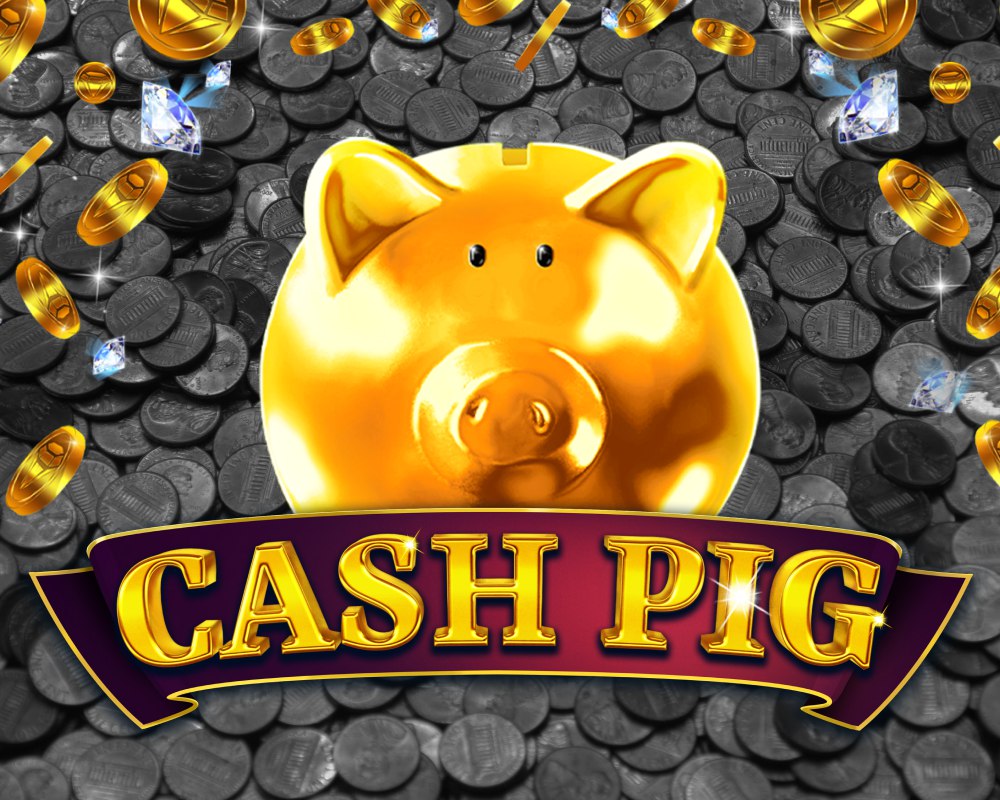 Cash Pig.JPG