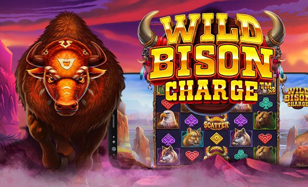Wild Bison Charge.JPG